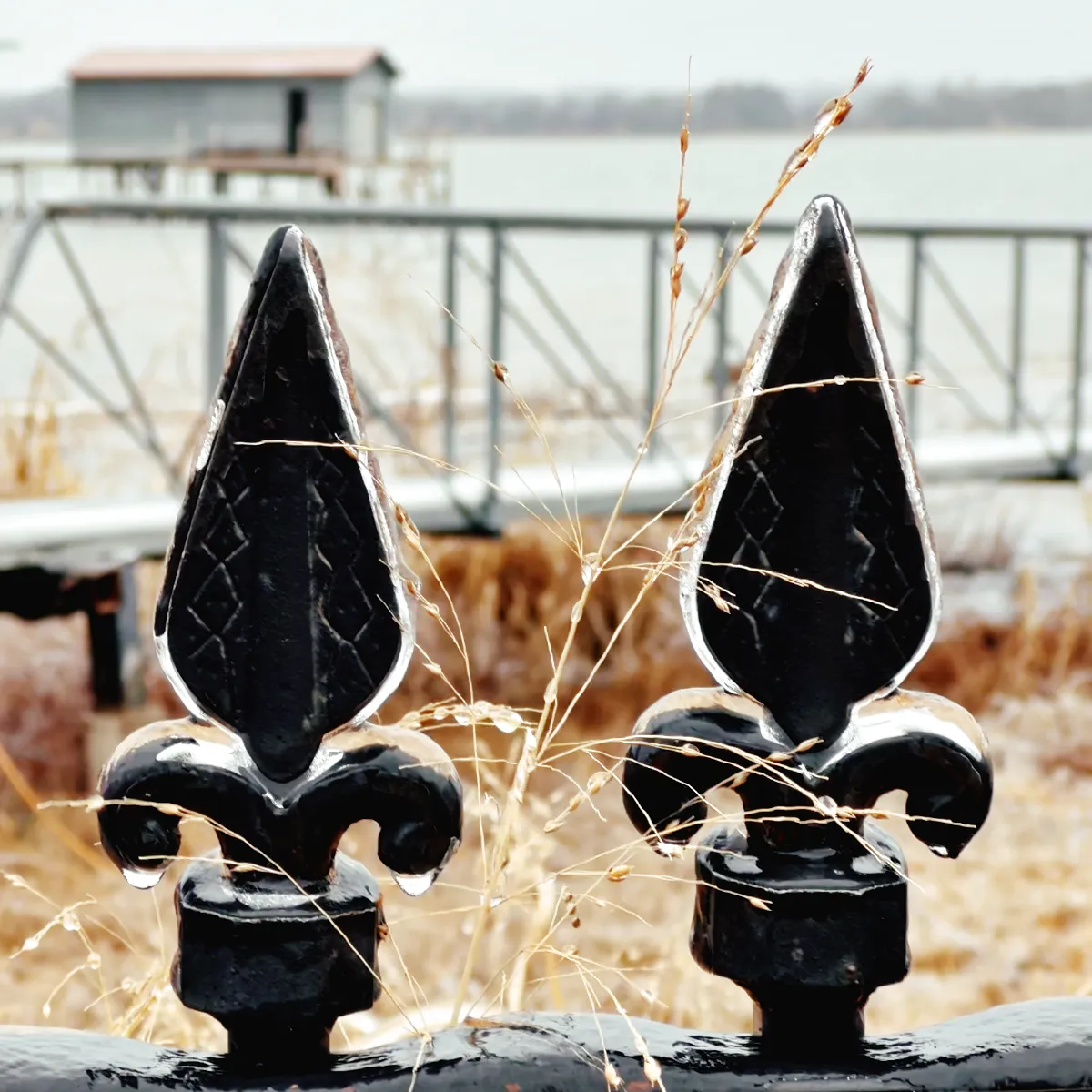Iron fence covered with almost a centimeter of ice. A cold looking lake in the background.
