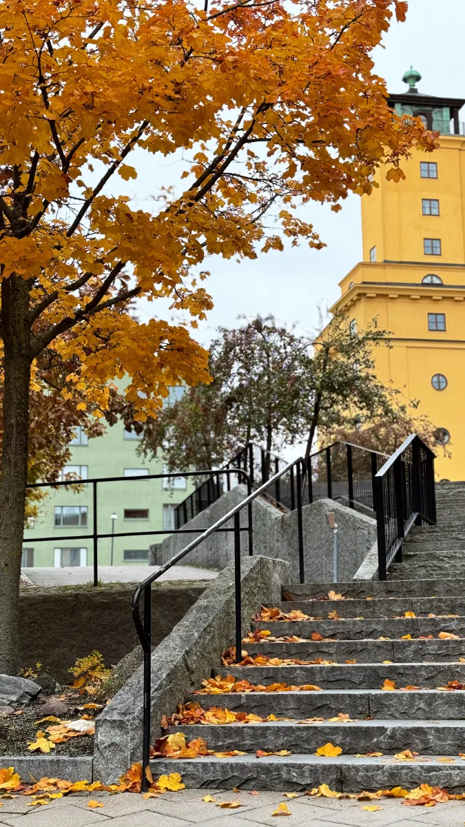 Autumn leaves on the ground in front of yellow building